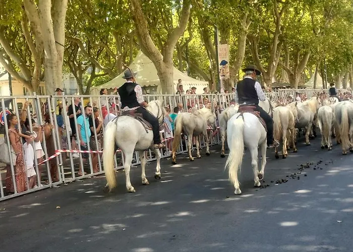 Vitale Moderne- Centre Historique- Proche Des Halles Апартаменты